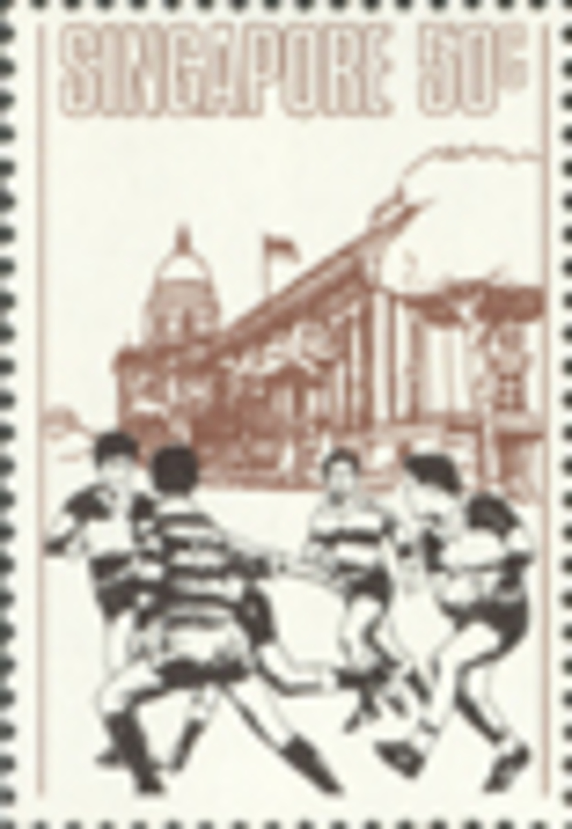 card-img-top