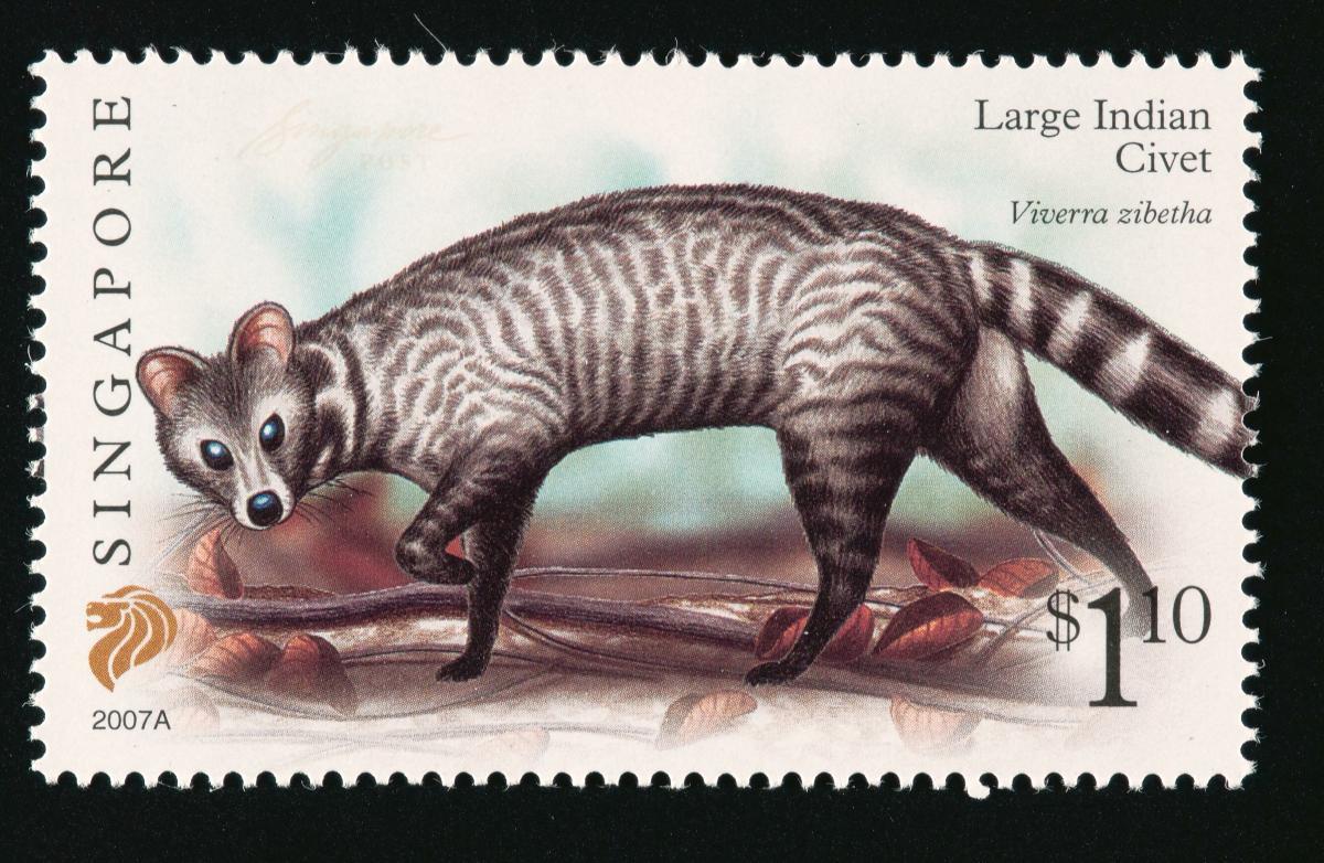 Stamp featuring the Large Indian Civet