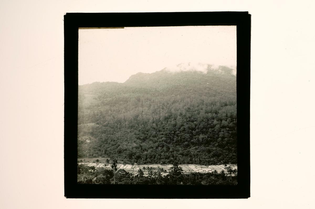 A glass lantern slide depicting an agricultural landscape