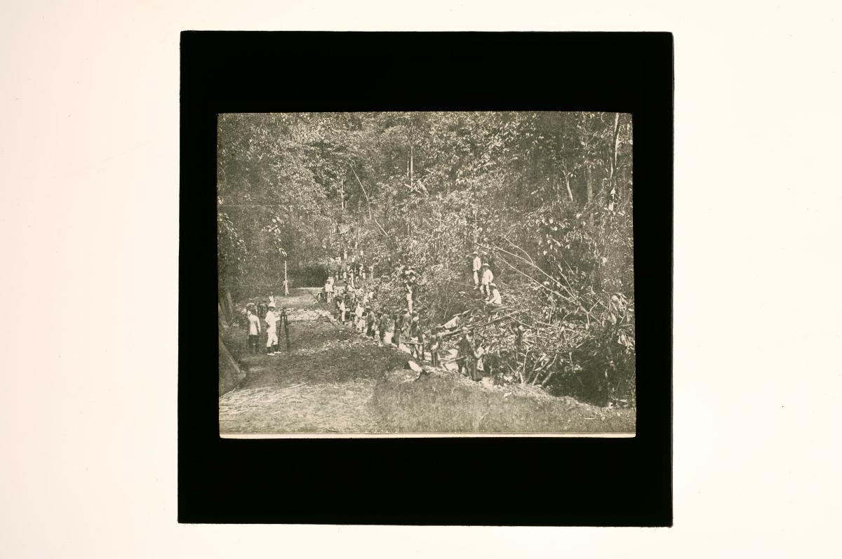 A glass lantern slide depicting a forest expedition