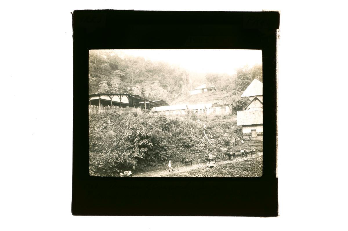 A glass lantern slide depicting a rural settlement