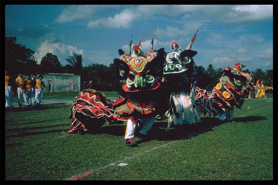 <strong>Photograph of a Lion Dance, part of the celebrations at the National Day Parade held at Bukit Panjang in 1975<br>
</strong>Reproduction<br>
9 August 1975<br>
Ministry of Information and the Arts Collection<br>
Courtesy of the National Archives of Singapore