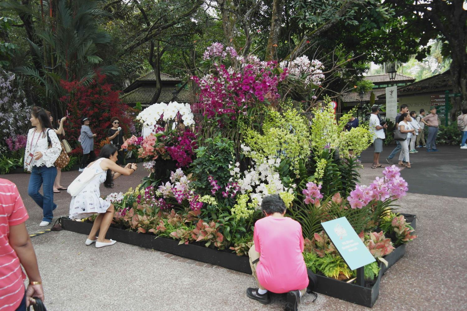 Visitors taking pictures of a landscape display of orchids at the National Orchid Garden, Singapore Botanic Gardens, as part of Singapore Garden Festival.<br/>Credit: National Parks Board