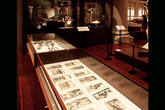 learning through looking the natural history collection of the former raffles library and museum covera