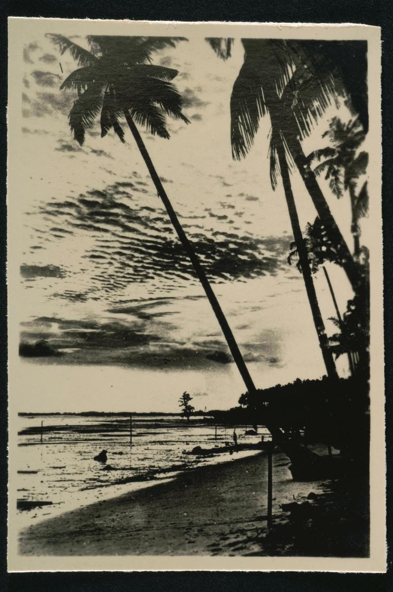 1194472