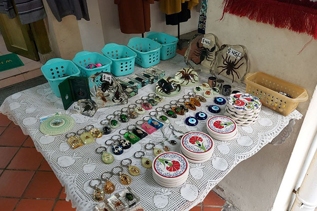 Volunteer Products 2 of CP Ghariwala